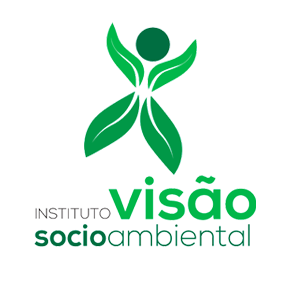 Innstituto-Visao-Socio--Logov